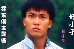 霍东阁电视剧,权谋风云，一代枭雄的传奇人生